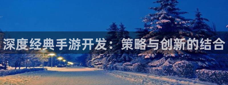 28大神新版：深度经典手游开发：策略与创新的结合