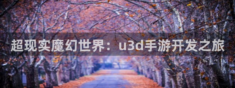 大神加拿大pc28：超现实魔幻世界：u3d手游开发之旅