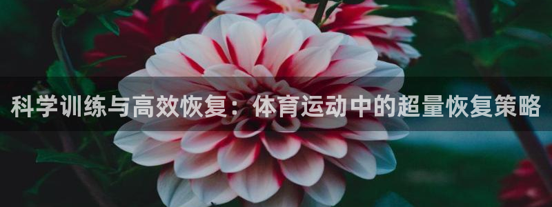 betway西汉姆