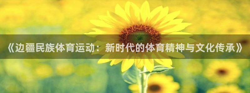 必威betway西汉姆联：《边疆民族体育运动：新时代的体育精神与文化传承》