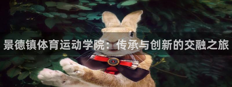 必威betway西汉姆联：景德镇体育运动学院：传承与创新的交融之旅