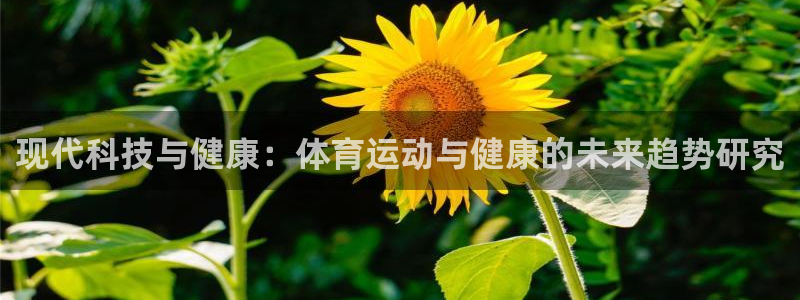 betway西汉姆：现代科技与健康：体育运动与健康的未来趋势研究