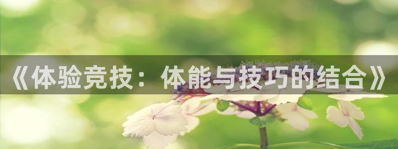 必威betway西汉姆联