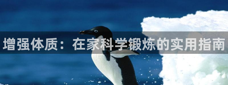 betway西汉姆：增强体质：在家科学锻炼的实用指南