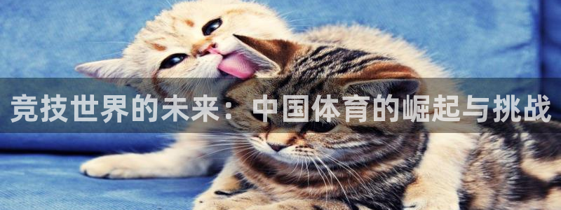 betway西汉姆：竞技世界的未来：中国体育的崛起与挑战